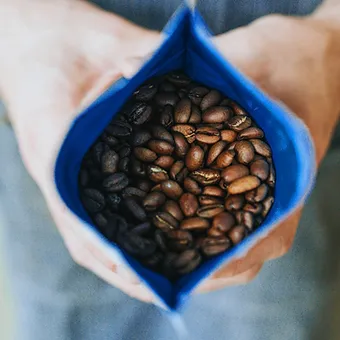 best coffee roasters in austin